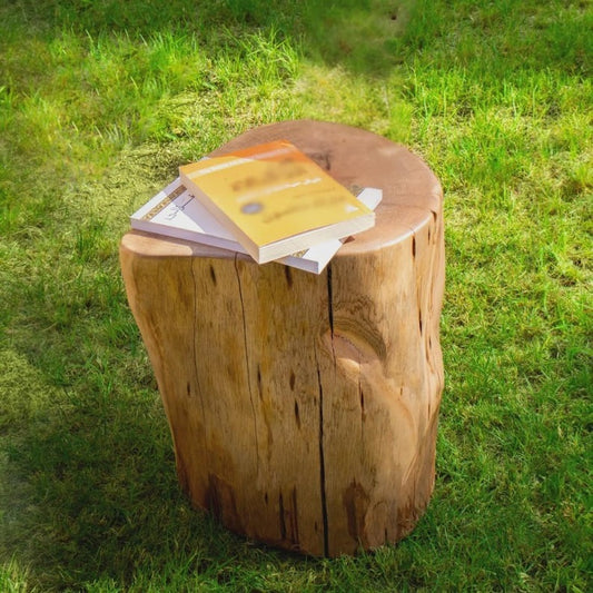 Live Edge Hardwood End Table – Rustic Stump Side Table