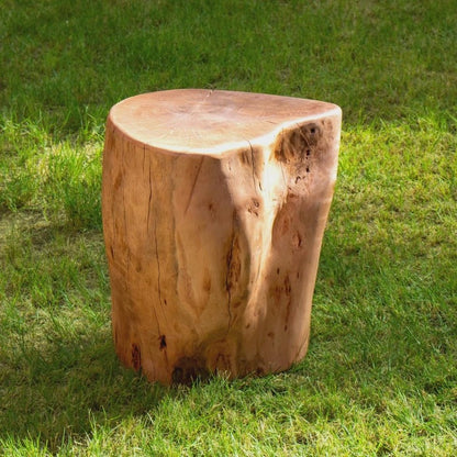 Live Edge Hardwood End Table – Rustic Stump Side Table